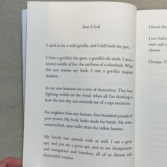 📚2/$6 The One and Only Ivan #1 in Series - Picture 12 of 15